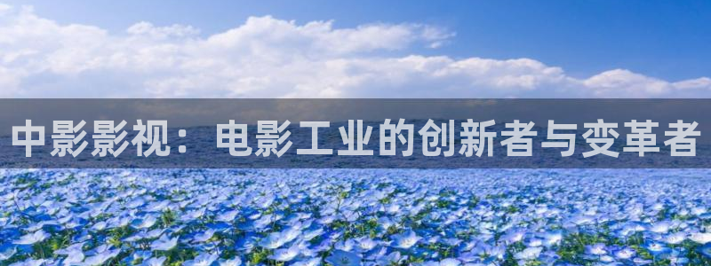 看樱花视频