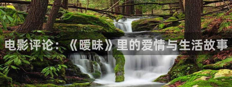 日樱花视频