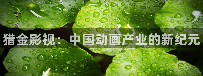 樱花影院高清电影好看的电影