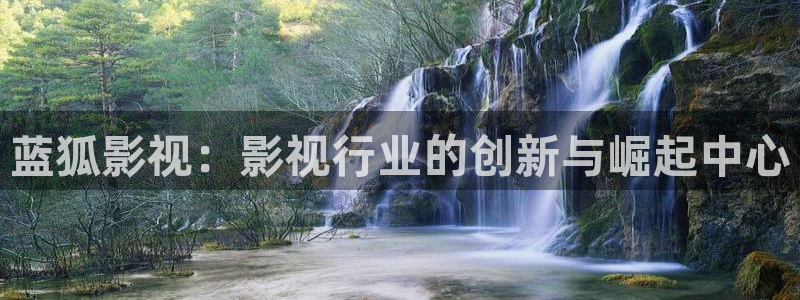 黄樱花视频