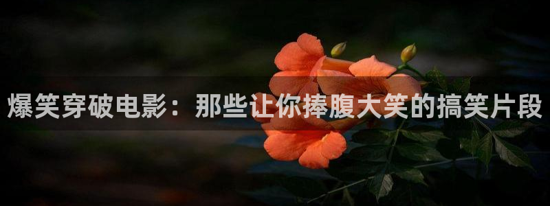 樱花视频yh