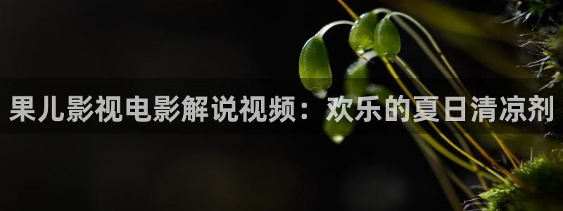 樱花视频大全免费观看