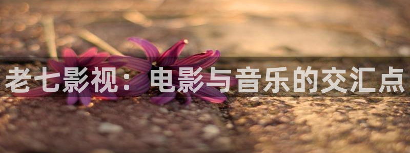 狂飙樱花影视
