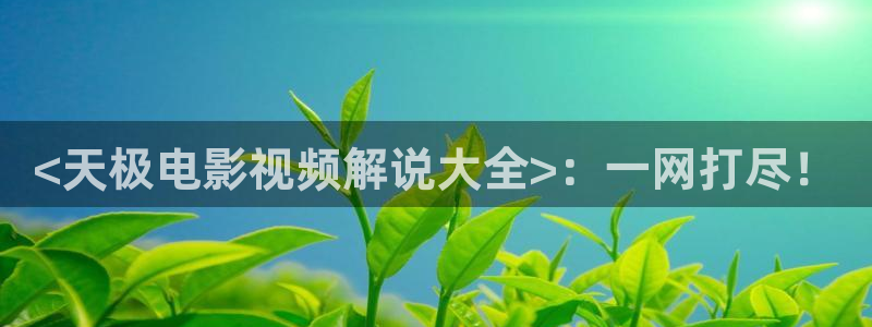 日本樱花影视