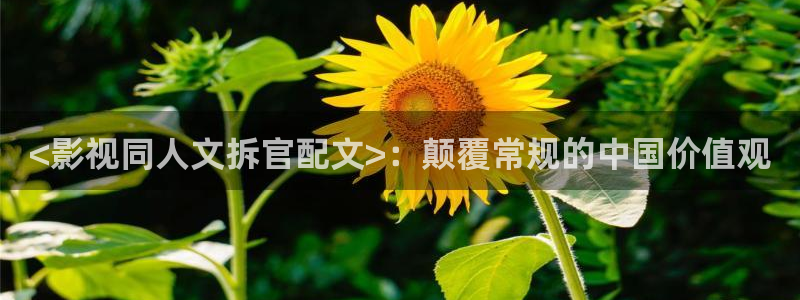 樱花视频成人在线