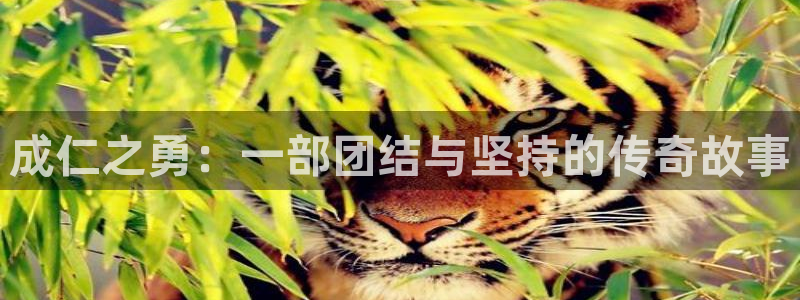 樱花视频影视