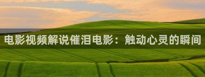 樱花视频免费观看电视剧动漫