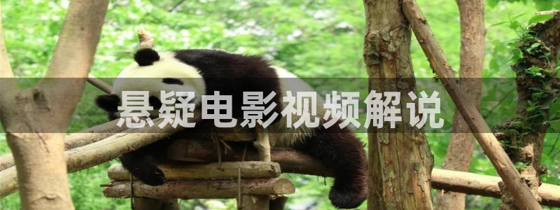 樱花影片免费