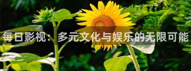 樱花影视在线免费观看