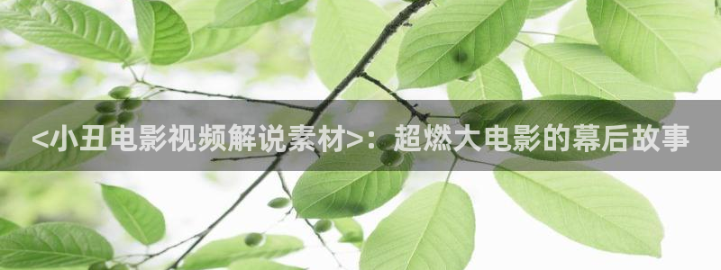 樱花视频免费观看下载