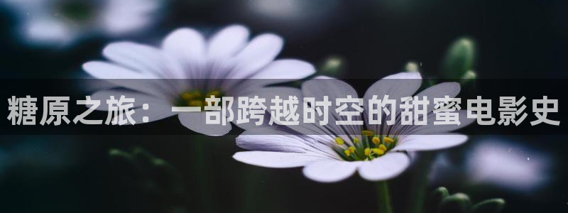 樱花视频播放大全