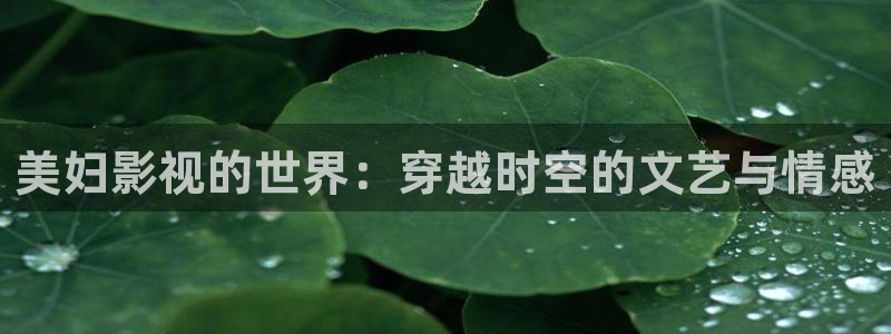 樱花视频在线观看免费视频
