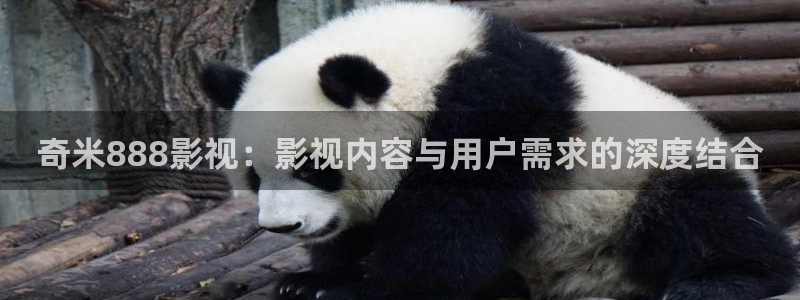 樱花视频在线