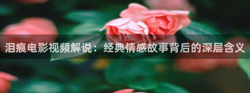 无职转生樱花视频