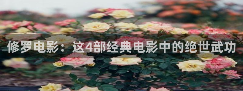 免费樱花影视
