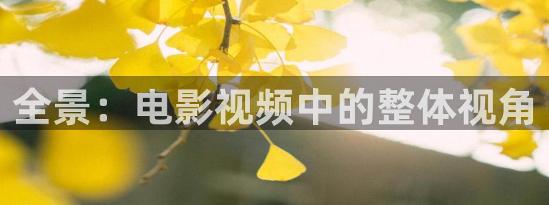 艳母樱花视频